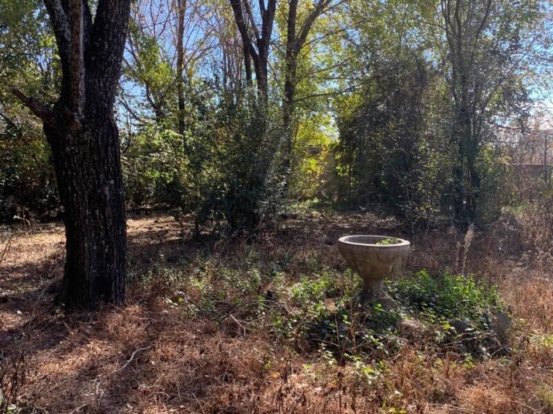 Alquiler Anual en Icho Cruz Solares, un dormitorio.