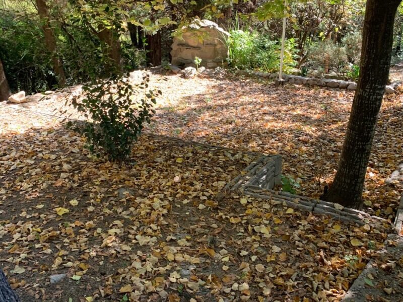 Alquiler anual. Departamento en Tala Huasi.