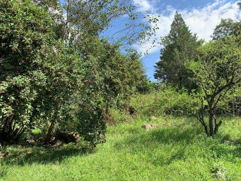 Venta lote en Icho Cruz Sierras, a 200 metros del río.