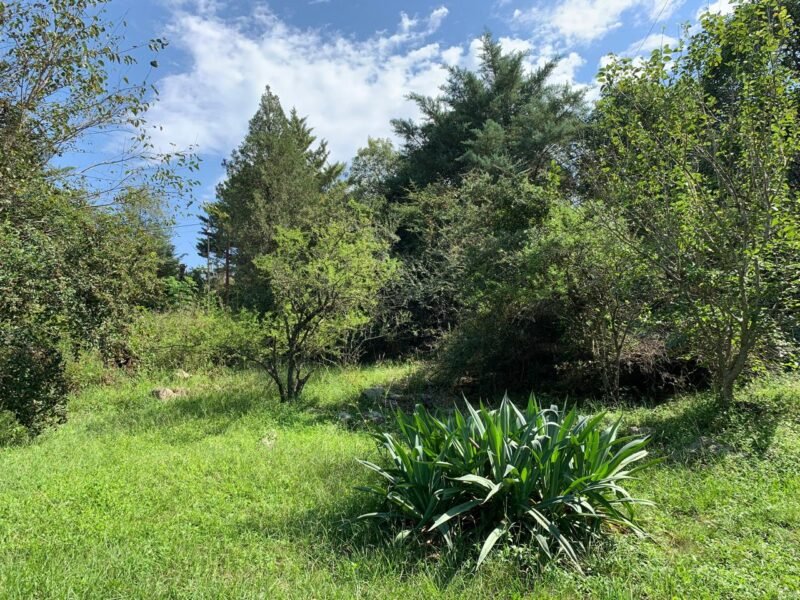 Venta lote en Icho Cruz Sierras, a 200 metros del río.