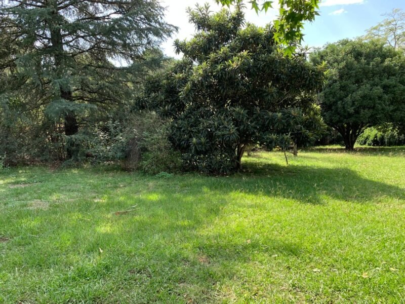 Venta lote en Icho Cruz Sierras, a 250 metros del río.