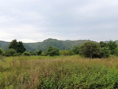 Venta lote en Las Jarillas del Bosque