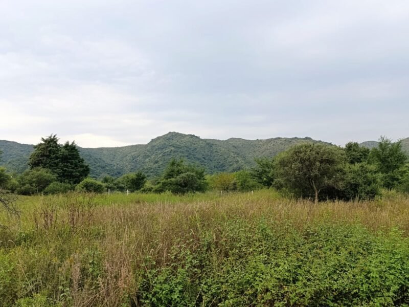 Venta lote en Las Jarillas del Bosque