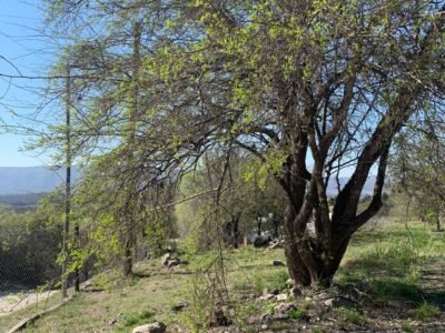 Venta lote en Icho Cruz Sierras, hermosas vistas.