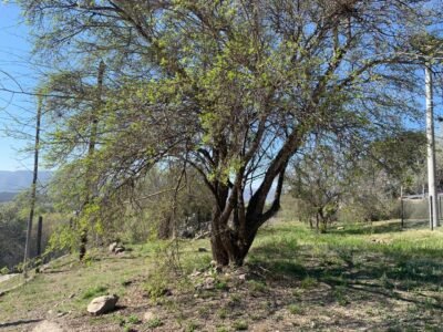 Venta lote en Icho Cruz Sierras, hermosas vistas.